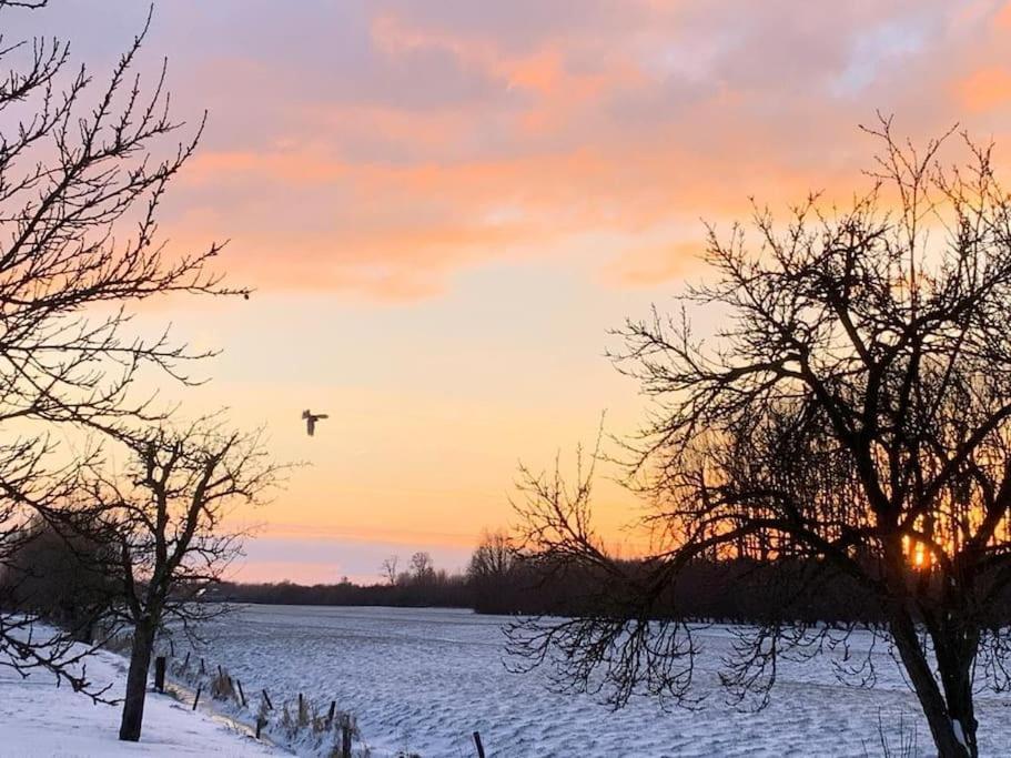 Holiday Home Countryside, Langbroek / Доорн Екстериор снимка