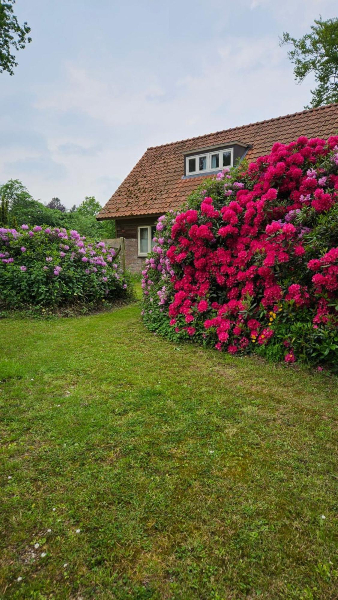 Holiday Home Countryside, Langbroek / Доорн Екстериор снимка