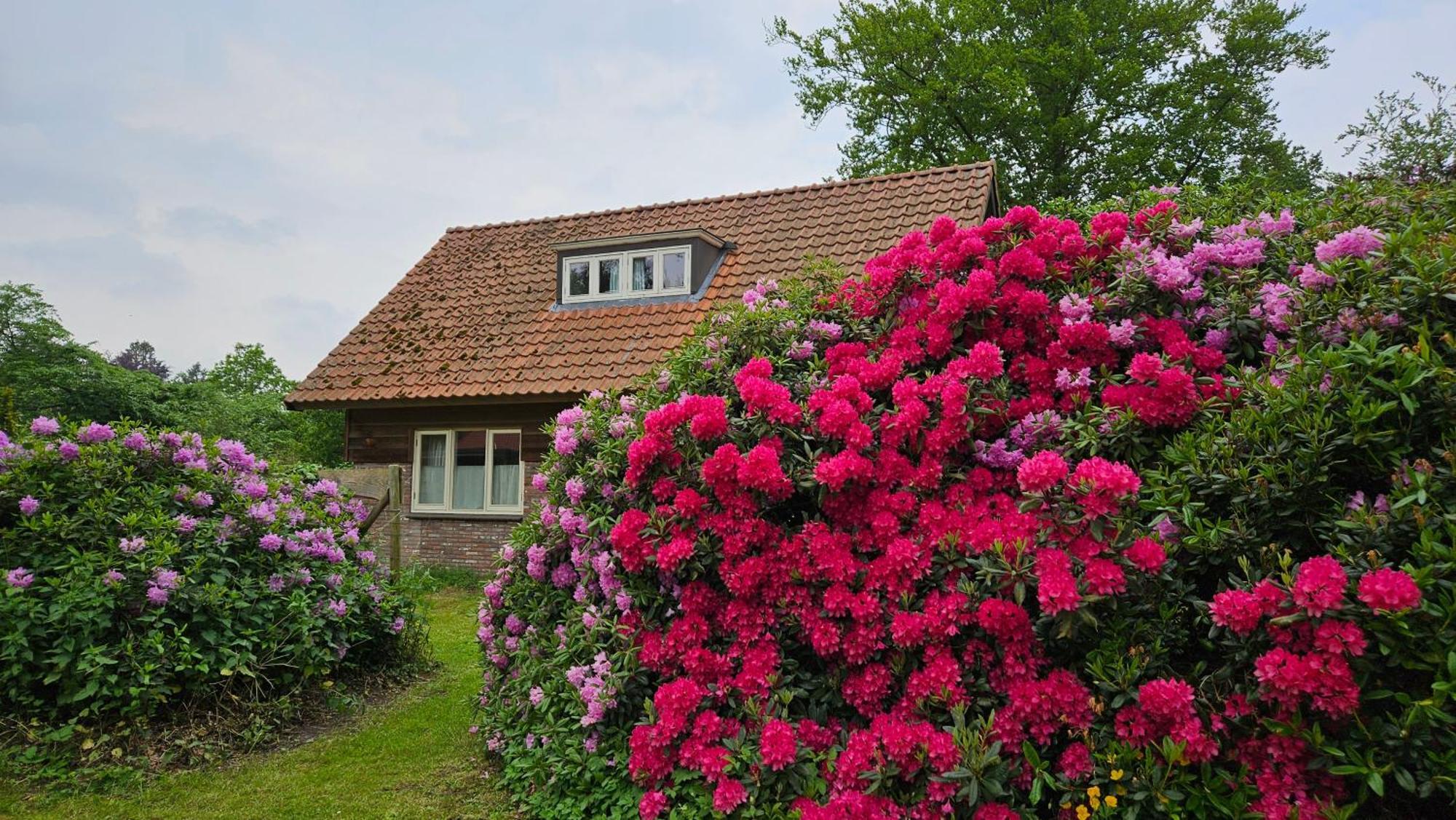 Holiday Home Countryside, Langbroek / Доорн Екстериор снимка